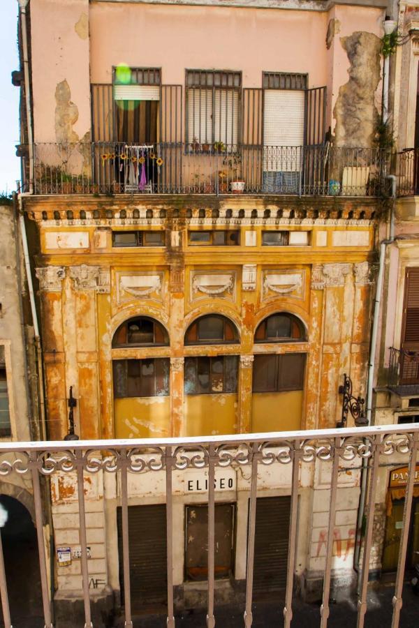 Naturalliving Catania Luaran gambar